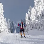 Mountain Klinovec Hexagon Apartment
