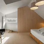 Mountain Klinovec Hexagon Apartment *