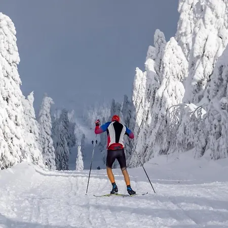 Mountain Klinovec Hexagon Apartment