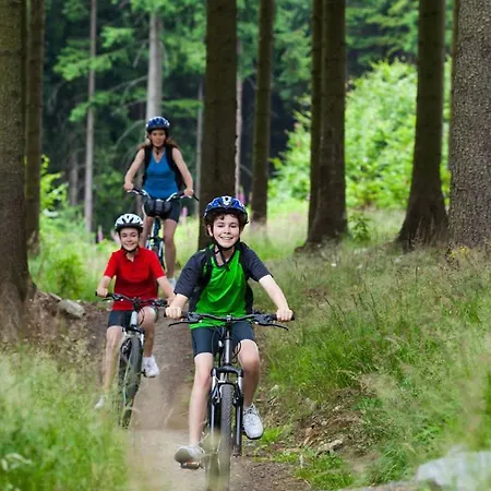 Apartman Mountain Klinovec Hexagon Loučná pod Klínovcem