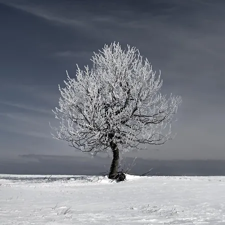 Mountain Klinovec Hexagon Apartment *