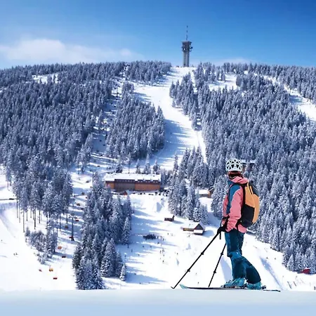 Mountain Klínovec Hexagon *
