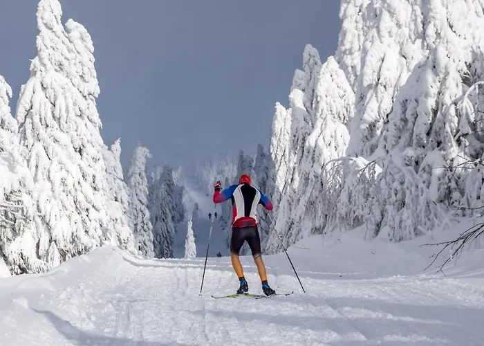 Mountain Klínovec Hexagon Apartmán