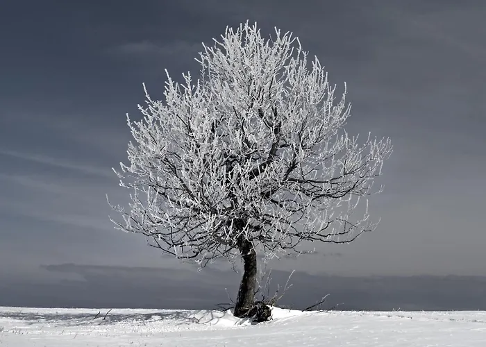 Mountain Klinovec Hexagon Appartement *